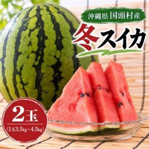ふるさと納税 スイカ 北海道 月形町 小玉 2種 セット 夏の日と緑 2
