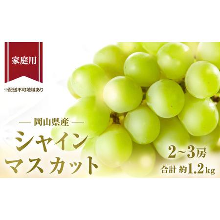 ふるさと納税 ぶどう 2024年 先行予約 ご家庭用 シャイン マスカット 2〜3房 合計約1.2k...