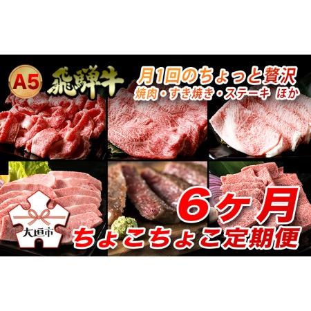 ふるさと納税 A5飛騨牛　定期便　6カ月ちょこちょこお届け（焼肉・すき焼き・ステーキ）☆ 岐阜県大垣...