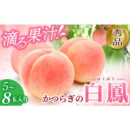 ふるさと納税 和歌山県産 白鳳 桃 5〜8玉入り 秀品 先行予約【2025年6月下旬から7月下旬ごろ...