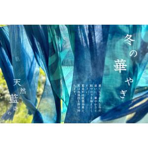 ふるさと納税 天然インディゴで染めたボタニカル...の詳細画像1