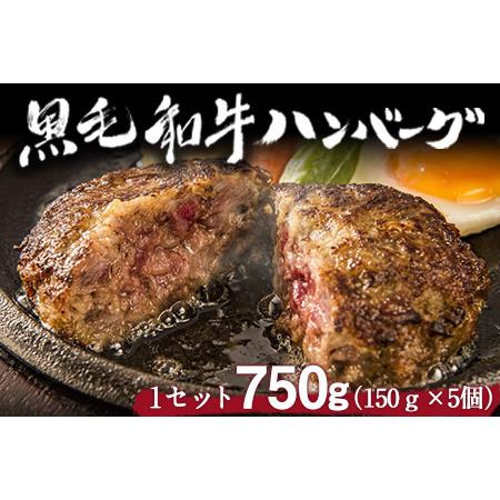 ふるさと納税 黒毛和牛ハンバーグ 150g×5個 《60日以内に出荷予定(土日祝除く)》 ブランド牛...