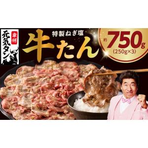 ふるさと納税 ねぎ塩 牛たん 約750g（250g×3）焼肉用 薄切り