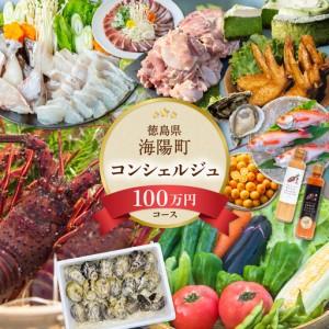 ふるさと納税 海陽町ふるさと納税コンシェルジュサービス＜寄附金額100万円コース＞ 徳島県海陽町