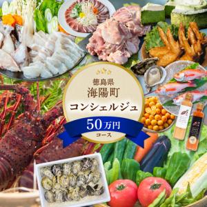 ふるさと納税 海陽町ふるさと納税コンシェルジュサービス＜寄附金額50万円コース＞ 徳島県海陽町