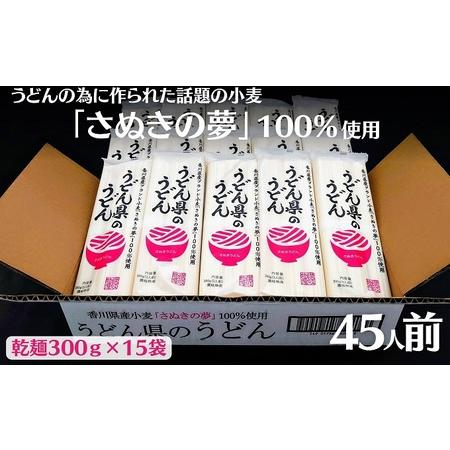 ふるさと納税 本場 讃岐うどん 乾麺【うどん県のうどん】45人前 300g×15袋入り さぬき 香川...