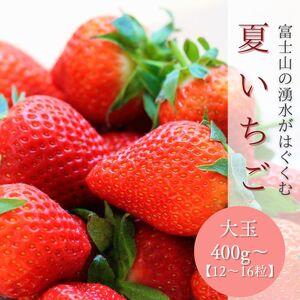ふるさと納税 【2026年 先行予約】【湧水のミネラルたっぷり！山梨の夏秋いちご】 大玉１２〜１６粒...