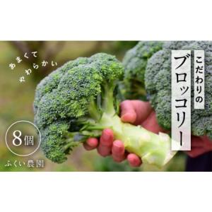 ふるさと納税 ふくい農園 ブロッコリー8個 野菜 ブロッコリー 人気 高知県宿毛市