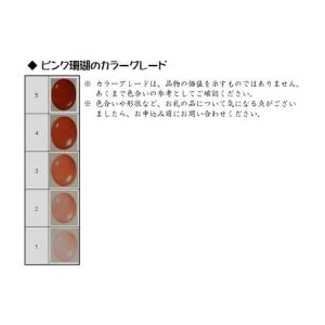 ふるさと納税 珊瑚職人館 珊瑚ピアス(p4) ...の詳細画像2