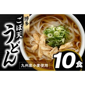 ふるさと納税 Z140.博多ごぼ天うどん１０食 福岡県新宮町