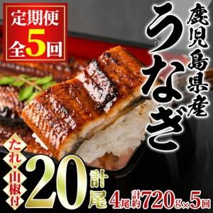 ふるさと納税 <定期便・全5回>東串良町 うなぎ...の商品画像