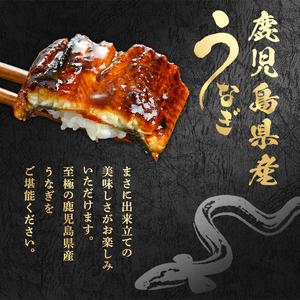 ふるさと納税 <定期便・全5回>東串良町 うな...の詳細画像1