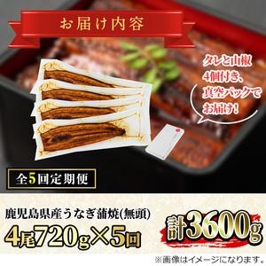ふるさと納税 <定期便・全5回>東串良町 うな...の詳細画像3