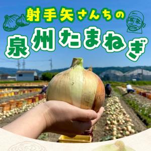 ふるさと納税 【先行予約】泉州たまねぎ 10k...の詳細画像1