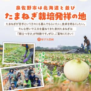 ふるさと納税 【先行予約】泉州たまねぎ 10k...の詳細画像3