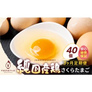 ふるさと納税 特選　さくらたまご☆40個（10個入×4パック）を月1回お届け☆☆