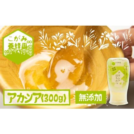 ふるさと納税 飛騨産 生蜂蜜 アカシア蜜 300g 国産無添加 はちみつ ギフト ハニー 非加熱[Q...