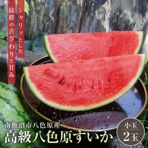 ふるさと納税 【高級】八色原すいか小玉2玉 | ...の商品画像