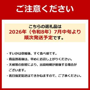 ふるさと納税 【高級】八色原すいか小玉2玉 |...の詳細画像1