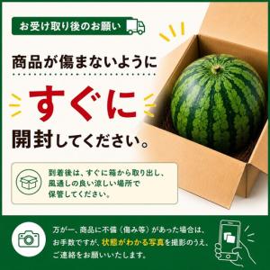 ふるさと納税 【高級】八色原すいか小玉2玉 |...の詳細画像2