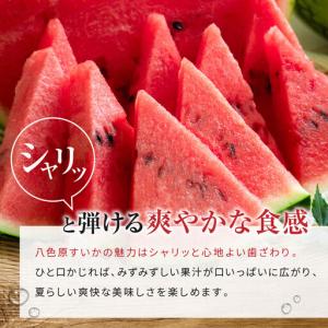 ふるさと納税 【高級】八色原すいか小玉2玉 |...の詳細画像4