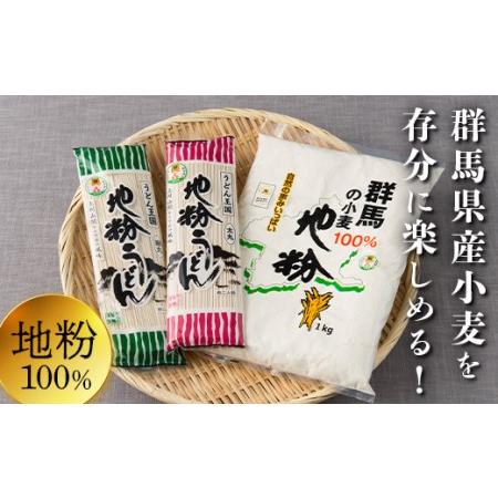 ふるさと納税 ぐんま生まれぐんま育ち（地粉・うどんセット） F20E-466 群馬県富岡市