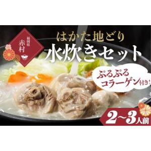 ふるさと納税 はかた地どり　美人水炊きセットＡ（２〜３人前） 2T4 福岡県赤村