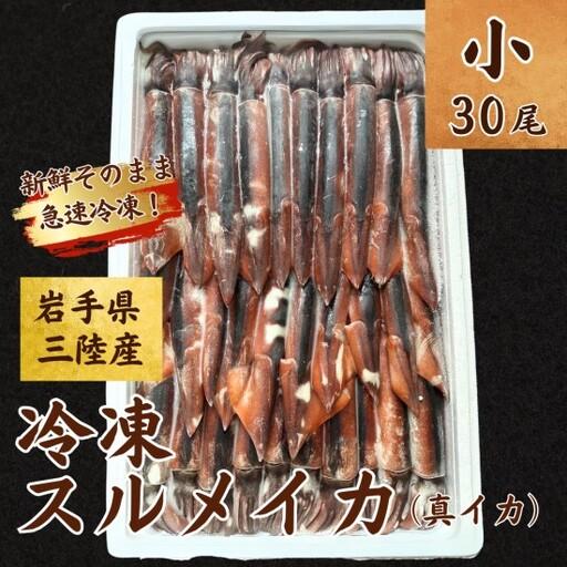 ふるさと納税 【鮮度そのまま急速冷凍】冷凍スルメイカ 小サイズ 30尾入り いか 刺身 イカ いかめ...