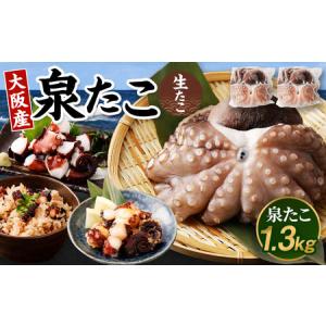 ふるさと納税 大阪産 泉タコ (生たこ) 1.3kg 大阪府阪南市