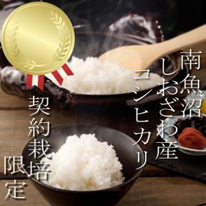 ふるさと納税 【令和7年】【定期便：15Kg×12ヶ月】生産者限定 契約栽培 南魚沼しおざわ産コシヒカリ｜こしひかり 新潟県南魚沼市