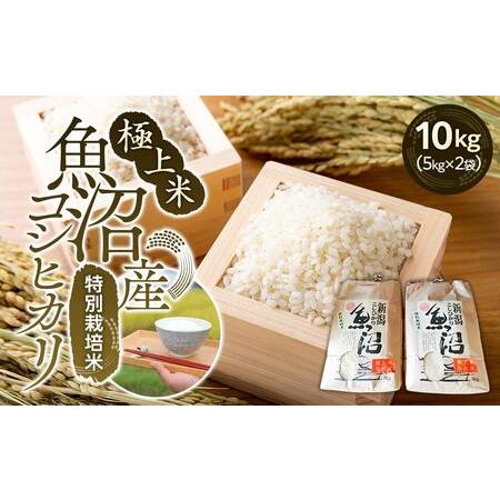 ふるさと納税 極上米魚沼産コシヒカリ特別栽培米１０kg(５kg×２) 新潟県南魚沼市