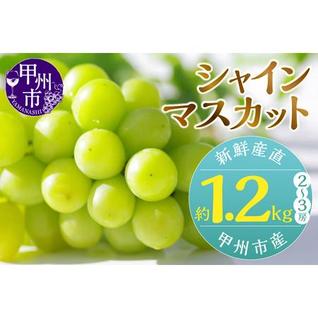 ふるさと納税 新鮮産直甲州市！シャインマスカット約1.2kg2〜3房【2026年発送】（KSF）B1...