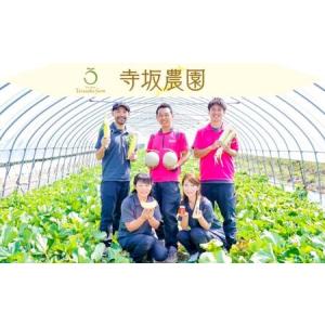 ふるさと納税 【2026年発送】【中富良野町】...の詳細画像4