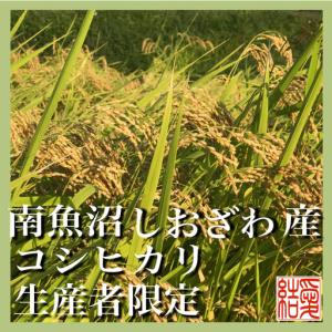 ふるさと納税 【令和7年】【定期便/20kg×...の詳細画像2