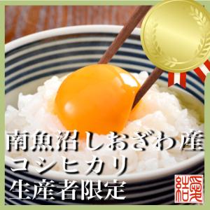 ふるさと納税 【令和7年】【定期便／20kg×12ヶ月】生産者限定 契約栽培 南魚沼しおざわ産コシヒカリ｜こしひかり 新潟県南魚沼市
