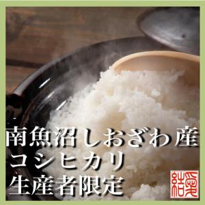 ふるさと納税 【令和7年】【定期便/20kg×...の詳細画像4