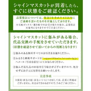 ふるさと納税 【ふるなび限定】甲州市産厳選旬の...の詳細画像2