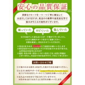 ふるさと納税 【ふるなび限定】甲州市産厳選旬の...の詳細画像2