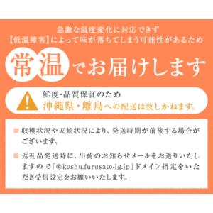 ふるさと納税 【ふるなび限定】甲州市産厳選旬の...の詳細画像4