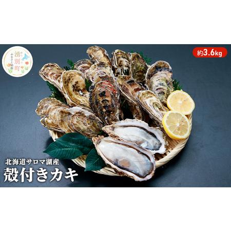 ふるさと納税 【国内消費拡大求む】 北海道 サロマ湖産 カキ 約3.6kg 牡蠣 海鮮 魚介 国産 ...