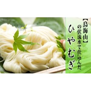 ふるさと納税 ひやむぎ220g×10束（20人前 冷麦 冷や麦