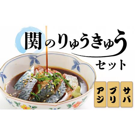 ふるさと納税 E22017　関のりゅうきゅうセット 大分県大分市