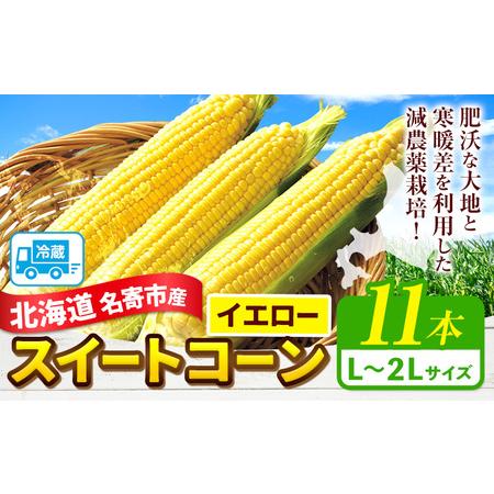 ふるさと納税 【2026年出荷】 北海道名寄産スイートコーンイエロー L?2Lサイズ11本 《202...