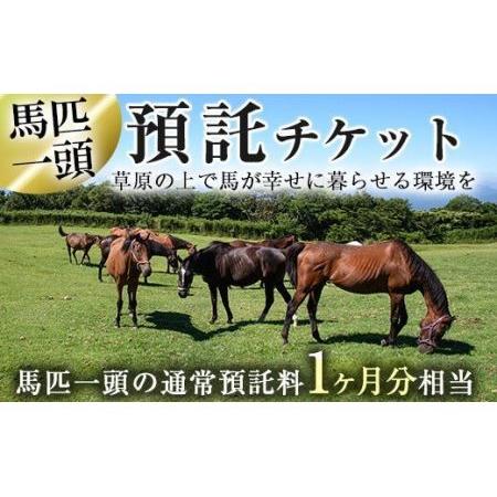 ふるさと納税 y240 預託チケット！馬匹一頭の通常預託料1ヶ月分に相当するチケット(1枚) 馬 競...