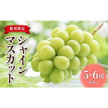 ふるさと納税 【先行受付2026年発送】東御市産シャインマスカット3kg（5〜6房）【秋お届け】  ...