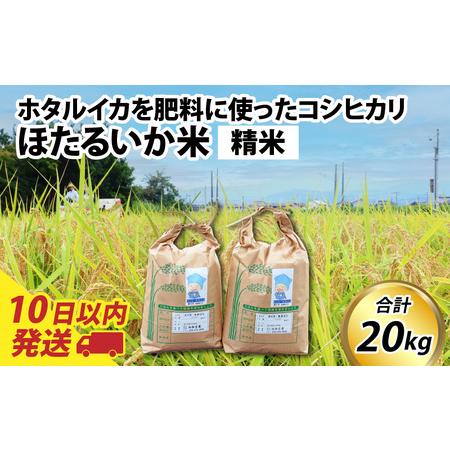 ふるさと納税 【訳あり】ほたるいか米（精米２０kg）【通年発送】 富山県滑川市