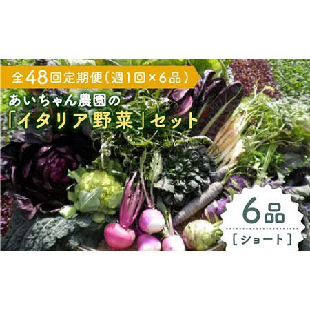 ふるさと納税 【6品 / 48回定期便】農薬に頼らない！カラダにやさしい「イタリア野菜」セット（ショ...