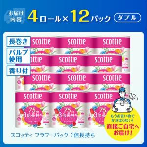 ふるさと納税 3倍長持ち スコッティ トイレッ...の詳細画像3