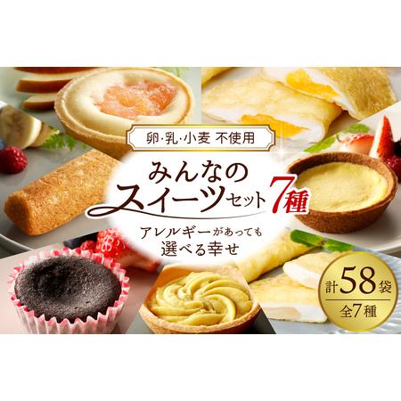 ふるさと納税 みんなのスイーツセット 【卵・乳・小麦不使用のアレルギー対応】 スイーツ セット 山形...