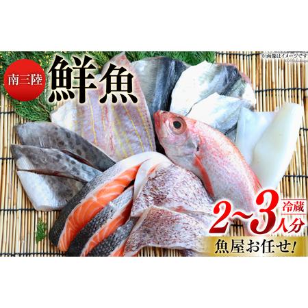 ふるさと納税 魚屋お任せ！南三陸お楽しみ鮮魚セット2〜3人分 宮城県南三陸町